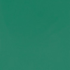 Stahls CCSF419 Cad-Cut Sportsfilm Mint