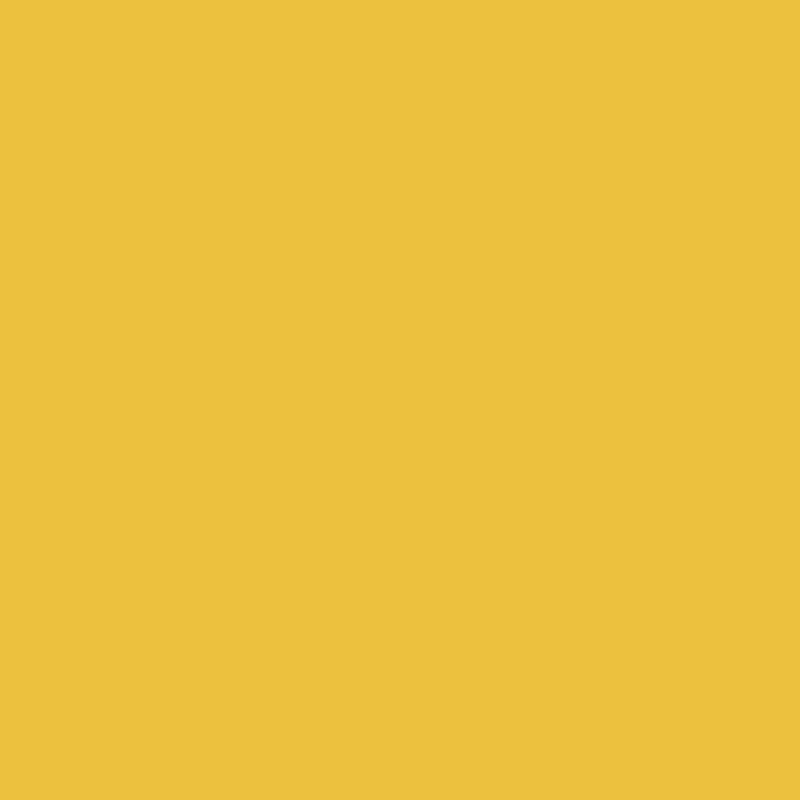 Hexis Speedcut SC10 Orange Yellow