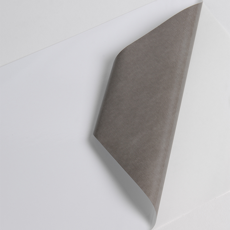 Hexis HX190WG2 Gegoten printmedia 45m x 1370mm