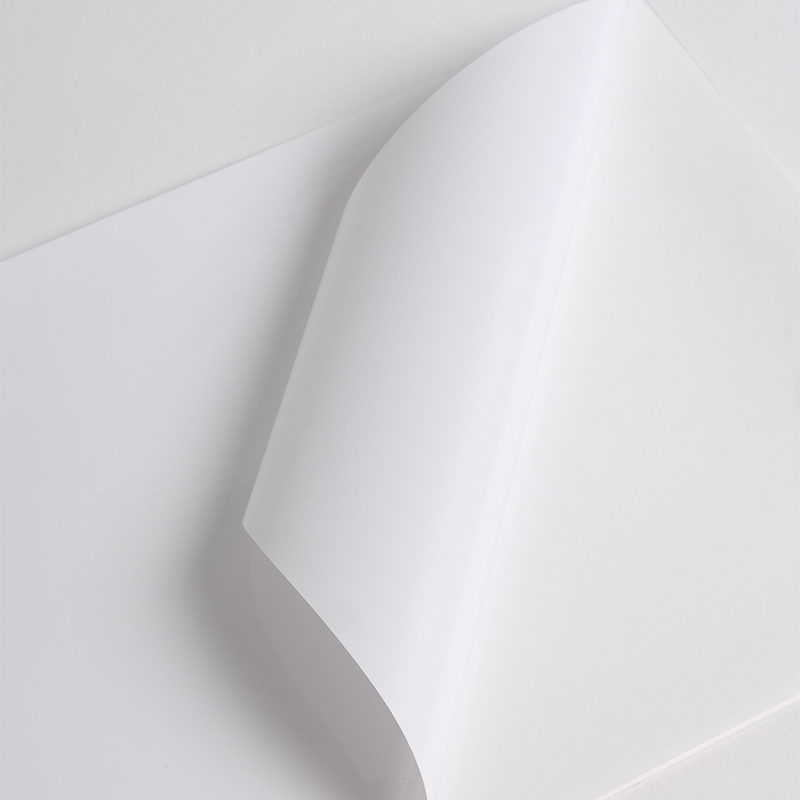 Hexis HX3001WG2 Monomeer printmedia 45m x 1370mm