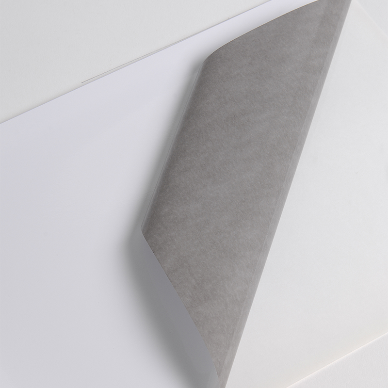 Hexis V200WG1 Polymeer printmedia 100m x 1370mm