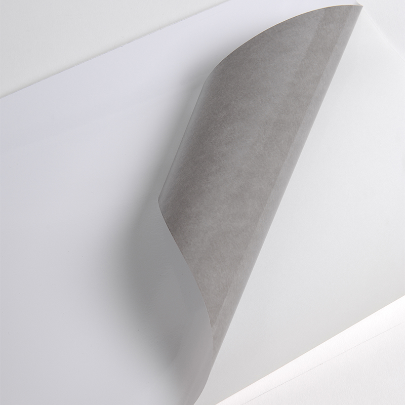 Hexis V300WG Monomeer printmedia 45m x 2000mm