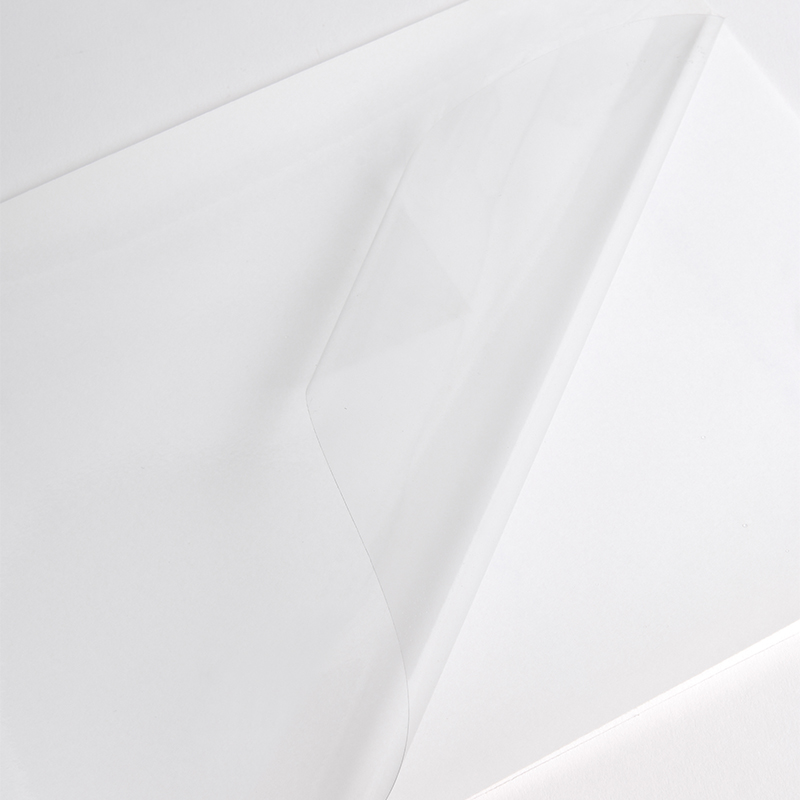 Hexis V302CG1 Monomeer printmedia 45m x 1370mm
