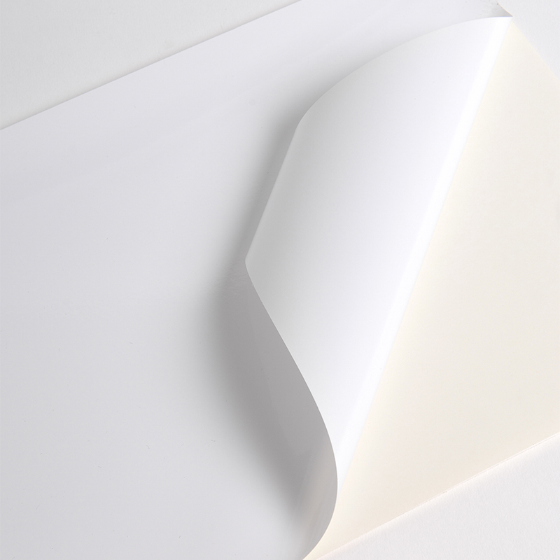 Hexis V3101WG Monomeer printmedia 45m x 1370mm