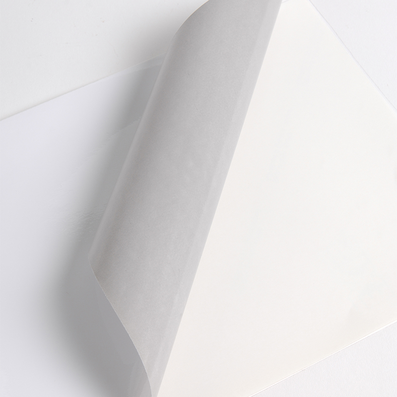 Hexis V3500WG1 Monomeer printmedia 45m x 1370mm
