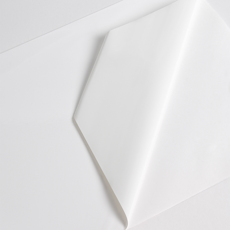 Hexis VCXR101WG1 Gegoten printmedia 1m x 1370mm