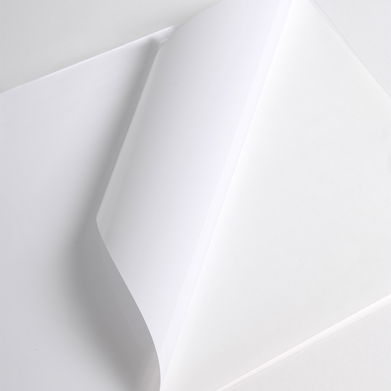 Hexis V3001WG Monomeer printmedia 32m x 1370mm