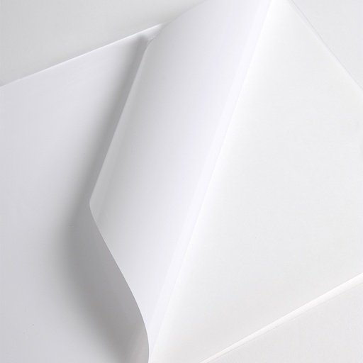 [V3001WG1370] Hexis V3001WG Monomeer printmedia 45m x 1370mm